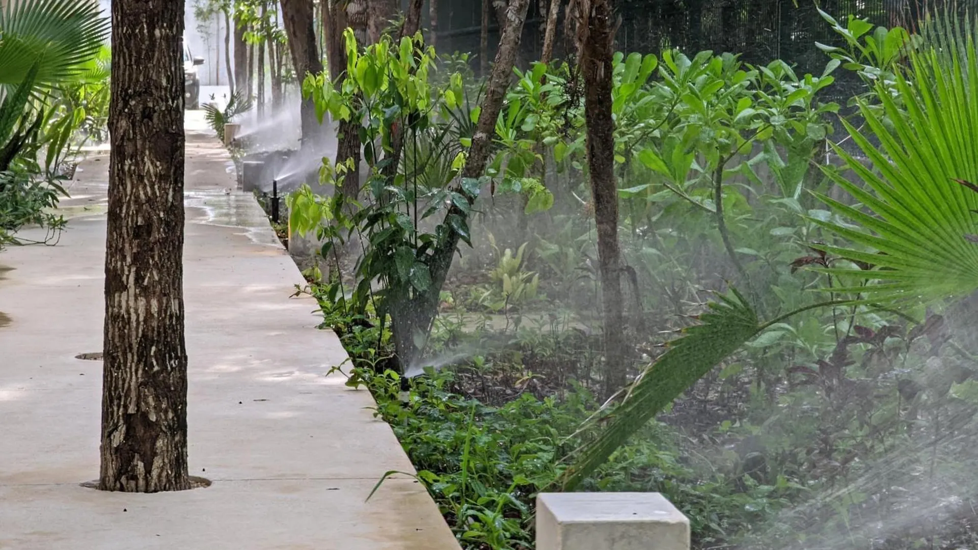 Tao Tulum - Fantastic Apartments In Jungle'S Heart - Top Amenities By Yeah Mexiko